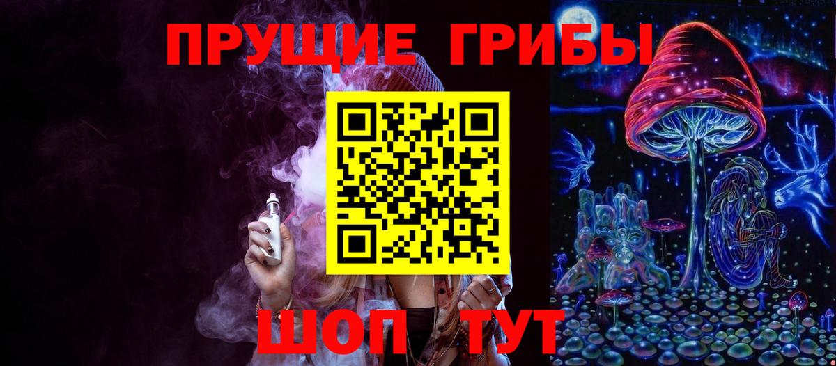 Галлюциногенные грибы Psilocybe Аксай