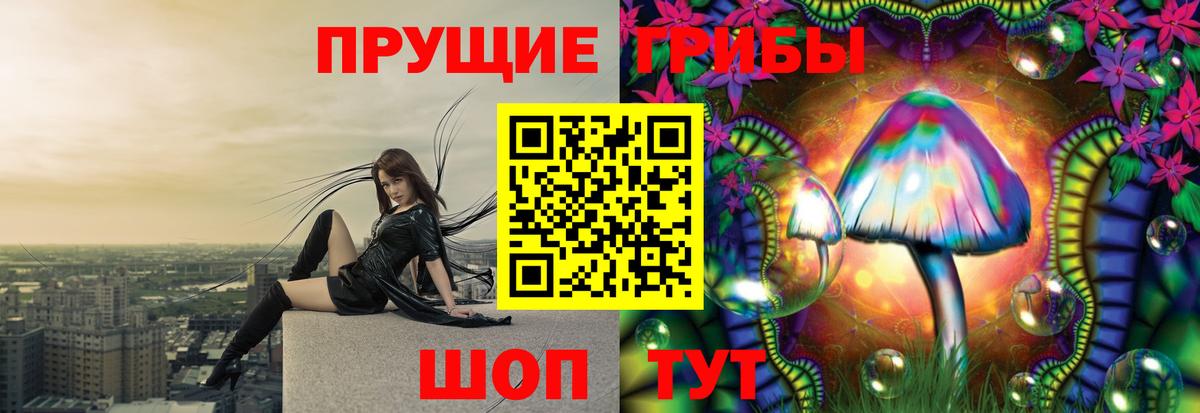 Аксай  Псилоцибиновые грибы мицелий  где купить наркоту  Вход с VPN 